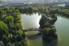 هتل های پارک جنگلی